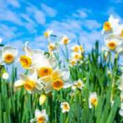 ヒメ日記 2025/01/28 13:35 投稿 さちこ 倶楽部愛