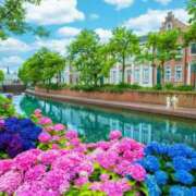 ヒメ日記 2025/03/24 12:19 投稿 さちこ 倶楽部愛