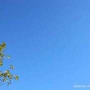 ヒメ日記 2025/04/04 13:13 投稿 さちこ 倶楽部愛