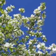 ヒメ日記 2025/04/16 16:51 投稿 さちこ 倶楽部愛