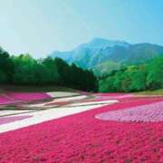 ヒメ日記 2025/04/23 02:20 投稿 さちこ 倶楽部愛