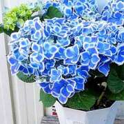 ヒメ日記 2025/04/26 14:33 投稿 さちこ 倶楽部愛