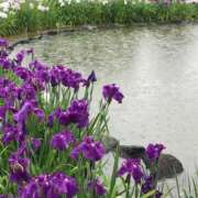 ヒメ日記 2025/05/30 03:47 投稿 さちこ 倶楽部愛