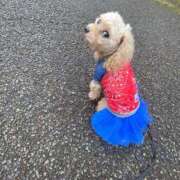 ヒメ日記 2025/06/10 16:47 投稿 さちこ 倶楽部愛