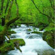 ヒメ日記 2025/06/19 12:27 投稿 さちこ 倶楽部愛