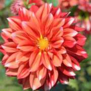 ヒメ日記 2025/07/11 14:20 投稿 さちこ 倶楽部愛