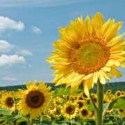 ヒメ日記 2025/07/29 22:02 投稿 さちこ 倶楽部愛