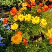 ヒメ日記 2025/09/12 12:08 投稿 さちこ 倶楽部愛