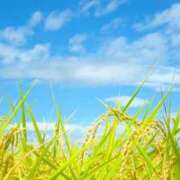 ヒメ日記 2025/09/18 13:29 投稿 さちこ 倶楽部愛