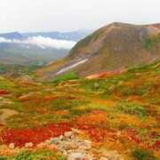 ヒメ日記 2025/09/22 14:19 投稿 さちこ 倶楽部愛