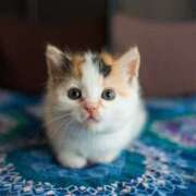 ヒメ日記 2025/09/26 17:05 投稿 さちこ 倶楽部愛