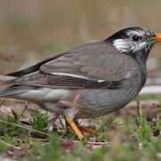 ヒメ日記 2025/10/27 13:45 投稿 さちこ 倶楽部愛