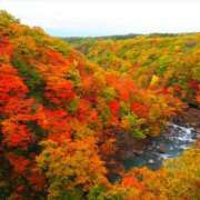 ヒメ日記 2025/11/01 18:46 投稿 さちこ 倶楽部愛