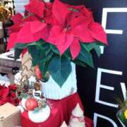 ヒメ日記 2025/12/01 02:42 投稿 さちこ 倶楽部愛