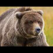 さちこ さちこで～す💓 倶楽部愛