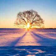 ヒメ日記 2025/12/30 13:43 投稿 さちこ 倶楽部愛