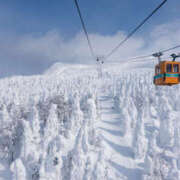 ヒメ日記 2026/01/19 14:48 投稿 さちこ 倶楽部愛