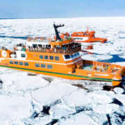 ヒメ日記 2026/01/29 16:24 投稿 さちこ 倶楽部愛