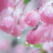 ヒメ日記 2026/02/09 15:23 投稿 さちこ 倶楽部愛