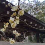 ヒメ日記 2026/02/13 12:12 投稿 さちこ 倶楽部愛