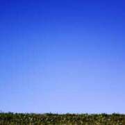 ヒメ日記 2026/02/19 13:12 投稿 さちこ 倶楽部愛