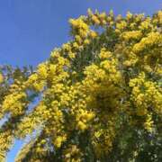 ヒメ日記 2026/03/10 15:05 投稿 さちこ 倶楽部愛