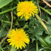 ヒメ日記 2026/03/30 12:23 投稿 さちこ 倶楽部愛