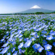 ヒメ日記 2026/04/14 15:14 投稿 さちこ 倶楽部愛