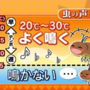 ヒメ日記 2026/08/17 12:37 投稿 さちこ 倶楽部愛