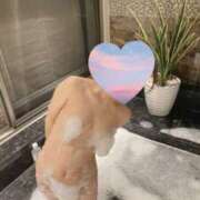 ヒメ日記 2025/04/26 20:02 投稿 ほむら 池袋即汁だく逆夜這いドスケベ痴女専門店 即痴女る -ドS変態欲情素人-