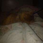 ヒメ日記 2024/12/22 01:55 投稿 ふみ 待ちナビ