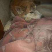 ヒメ日記 2024/12/25 22:25 投稿 ふみ 待ちナビ