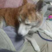 ヒメ日記 2024/12/28 08:20 投稿 ふみ 待ちナビ