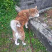 ヒメ日記 2024/12/29 11:55 投稿 ふみ 待ちナビ