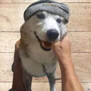 ヒメ日記 2024/12/29 21:05 投稿 ふみ 待ちナビ