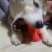 ヒメ日記 2025/01/01 00:45 投稿 ふみ 待ちナビ