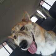 ヒメ日記 2025/01/03 06:55 投稿 ふみ 待ちナビ