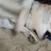 ヒメ日記 2025/01/04 11:10 投稿 ふみ 待ちナビ