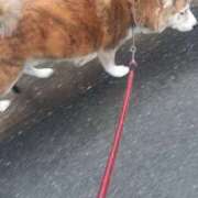 ヒメ日記 2025/01/05 10:23 投稿 ふみ 待ちナビ