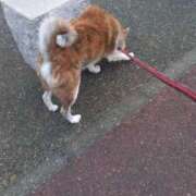 ヒメ日記 2025/01/08 08:05 投稿 ふみ 待ちナビ