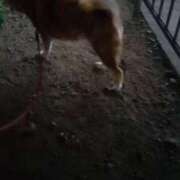 ヒメ日記 2025/01/09 08:35 投稿 ふみ 待ちナビ