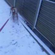 ヒメ日記 2025/01/10 14:45 投稿 ふみ 待ちナビ