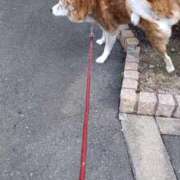 ヒメ日記 2025/01/14 21:57 投稿 ふみ 待ちナビ