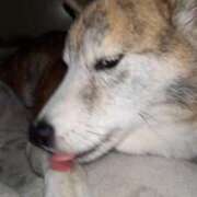 ヒメ日記 2025/01/15 09:35 投稿 ふみ 待ちナビ