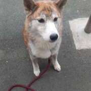 ヒメ日記 2025/01/18 12:00 投稿 ふみ 待ちナビ