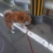 ヒメ日記 2025/01/25 14:05 投稿 ふみ 待ちナビ