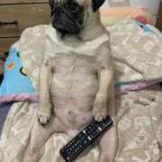 ヒメ日記 2025/04/20 18:25 投稿 ふみ 待ちナビ