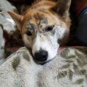 ヒメ日記 2025/04/24 21:35 投稿 ふみ 待ちナビ