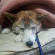 ヒメ日記 2025/05/15 11:55 投稿 ふみ 待ちナビ