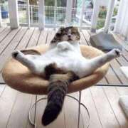 ヒメ日記 2025/06/26 17:35 投稿 ふみ 待ちナビ